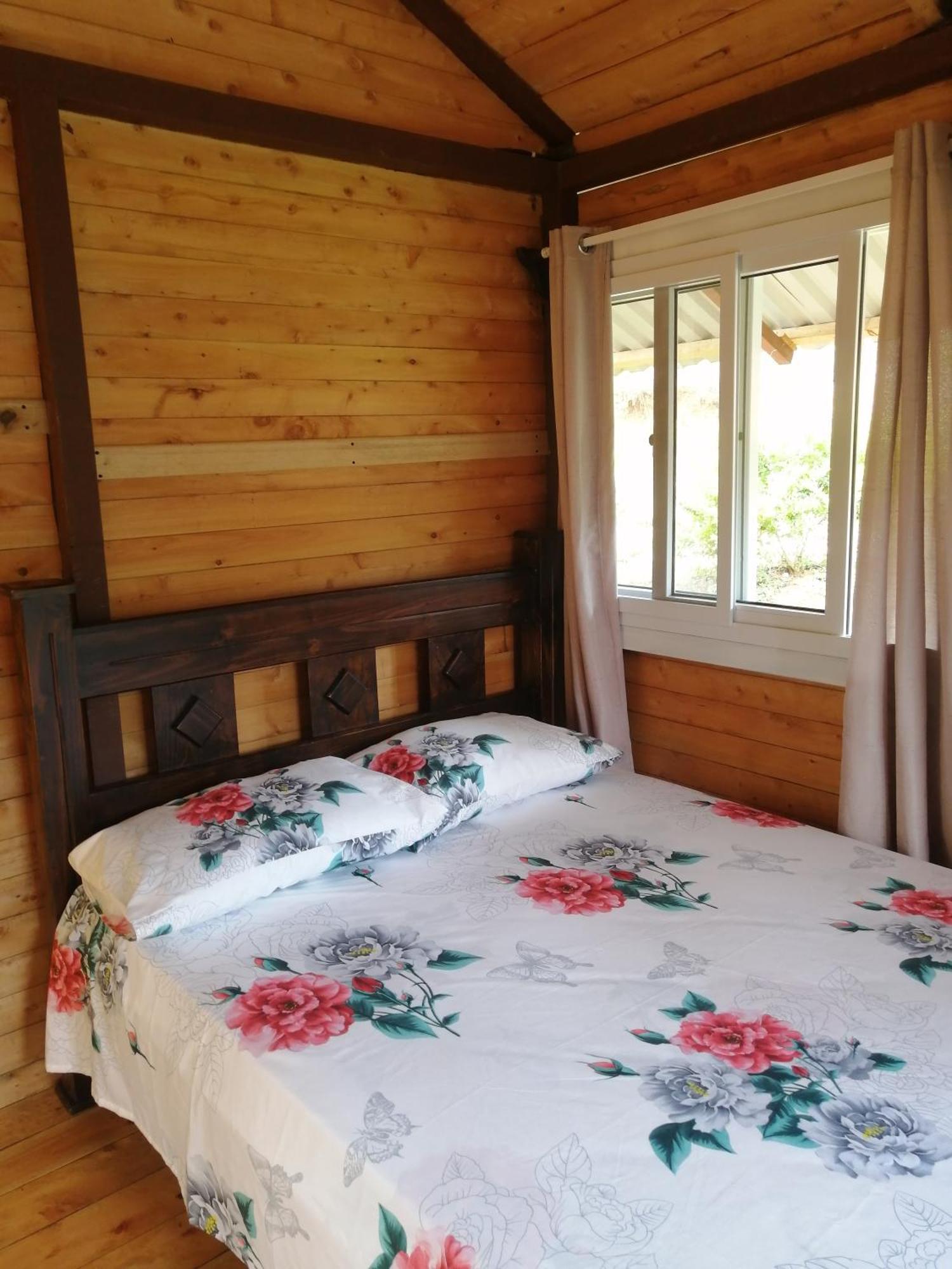 Mario'S Lodge Providencia Copey Extérieur photo